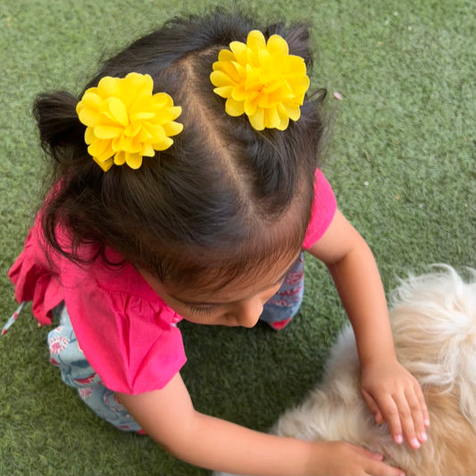 Chiffon Floral Hair Clips-Pack of 6 - Twisty Locks - Kids and Women Hair Accessories, Fashion Clothing and Jewellery India