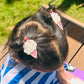 Icecream Embroidered Hair Clips Set - Twisty Locks  - Kids and Women Hair Accessories, Fashion Clothing and Jewellery India